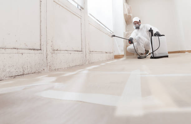 24/7 Emergency Mold Cleanup experts in West Orange, NJ