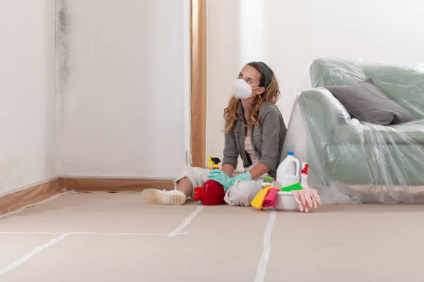Reliable Mold Cleanup contractor in West Orange, NJ by Cheap Mold Removal